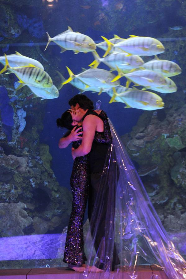 Fotos: &#039;Inmesión&#039;, una exposición en el Aquarium para reflexionar sobre la mar