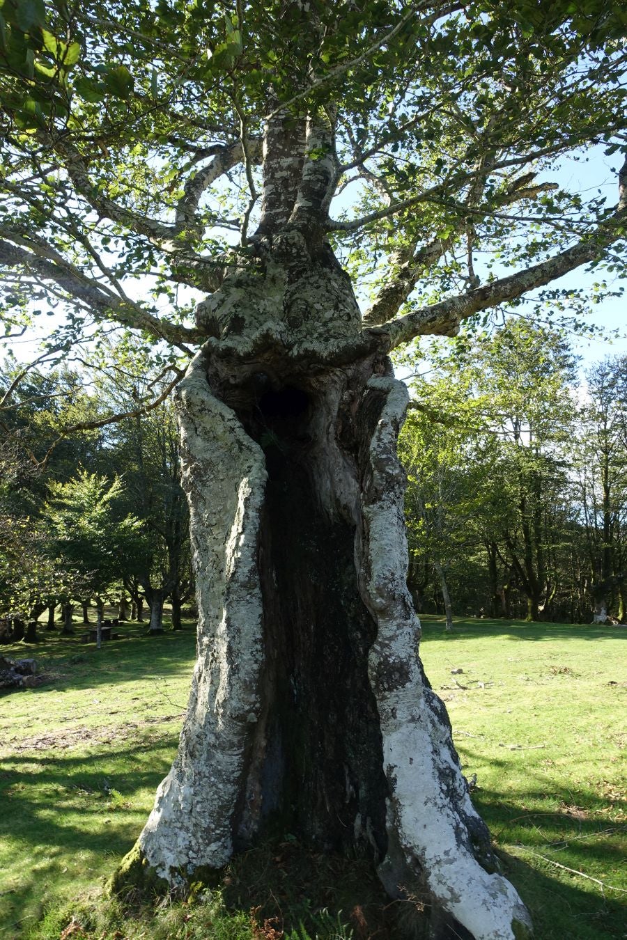 Fotos: Ruta a Basate pasando por el crómlech de Oianleku