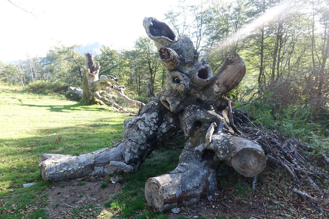 Fotos: Ruta a Basate pasando por el crómlech de Oianleku