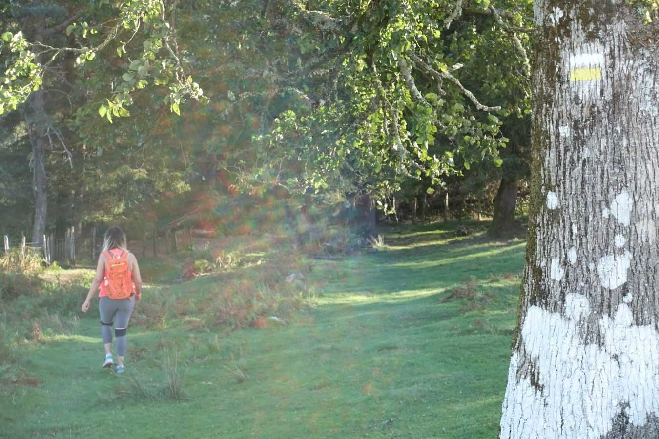 Fotos: Ruta a Basate pasando por el crómlech de Oianleku