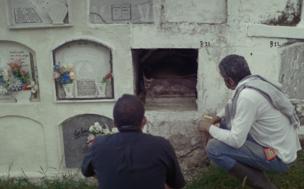 MONTAÑA AZUL / BLUE MOUNTAIN