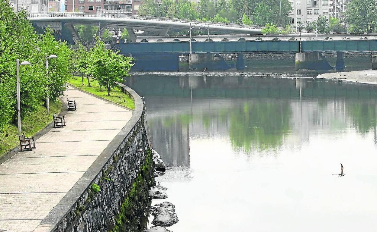 La violación denunciado en Riberas de Loiola habría sucedido cerca de la pasarela sobre el río Urumea.