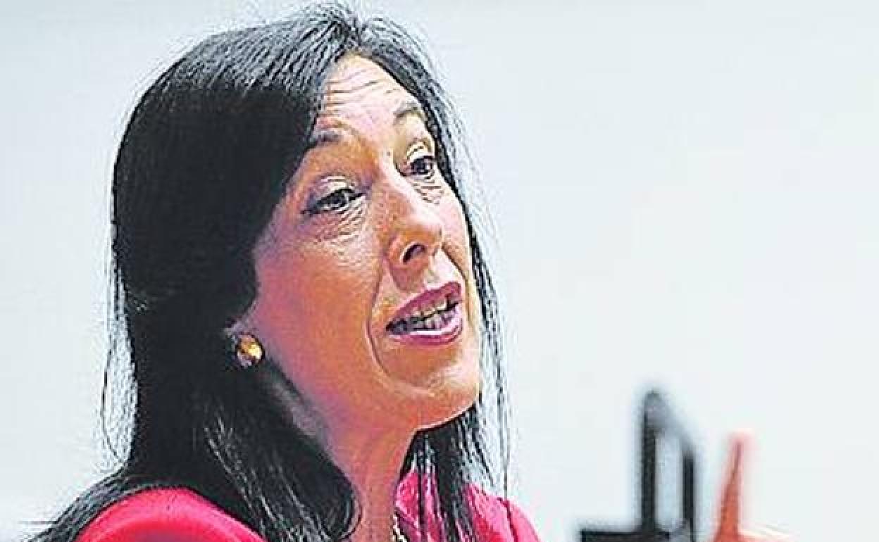 Vox avisa a Urkullu «que no tiene los necesarios pararrayos para frenar la tormenta»