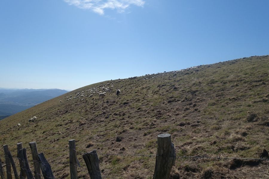 Fotos: Adi: una cima navarra para disfrutar del Otoño