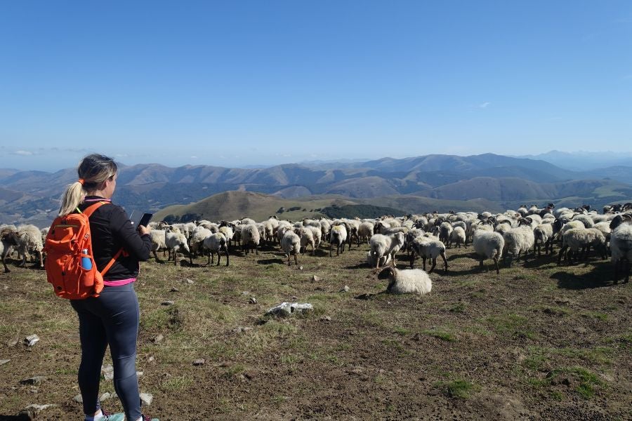 Fotos: Adi: una cima navarra para disfrutar del Otoño