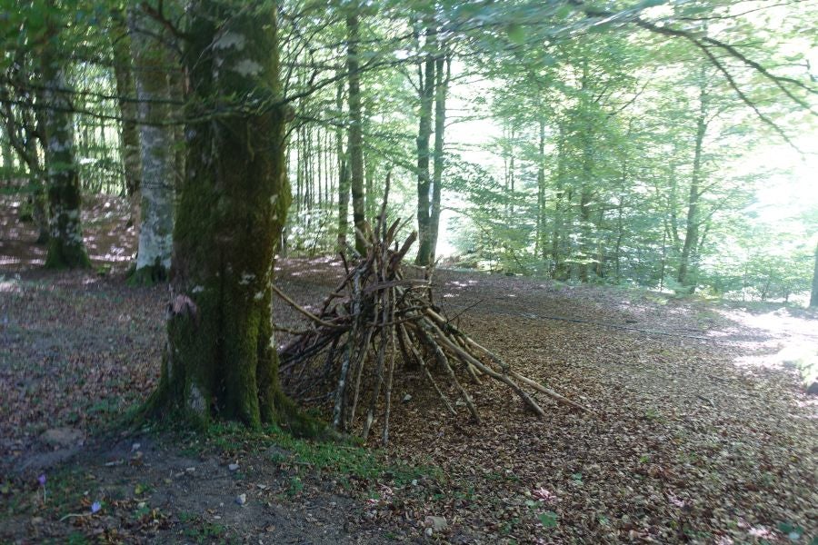 Fotos: Adi: una cima navarra para disfrutar del Otoño