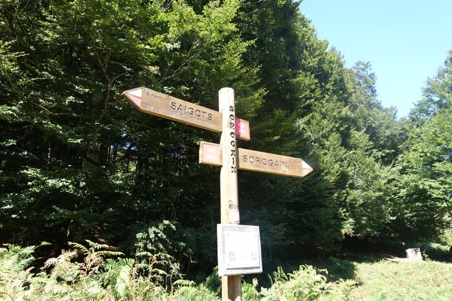 Fotos: Adi: una cima navarra para disfrutar del Otoño