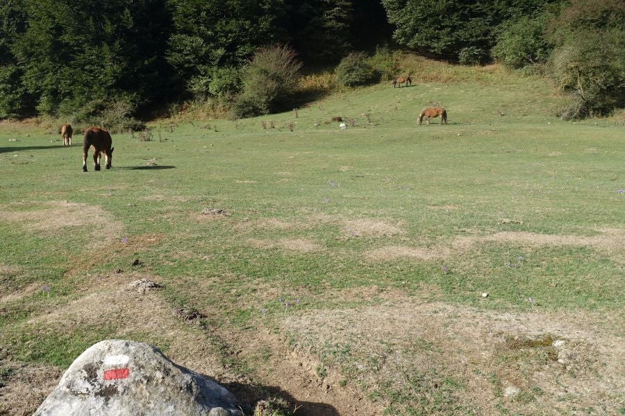 Fotos: Adi: una cima navarra para disfrutar del Otoño