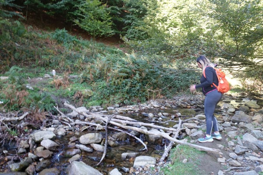 Fotos: Adi: una cima navarra para disfrutar del Otoño