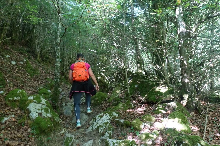 Fotos: Adi: una cima navarra para disfrutar del Otoño