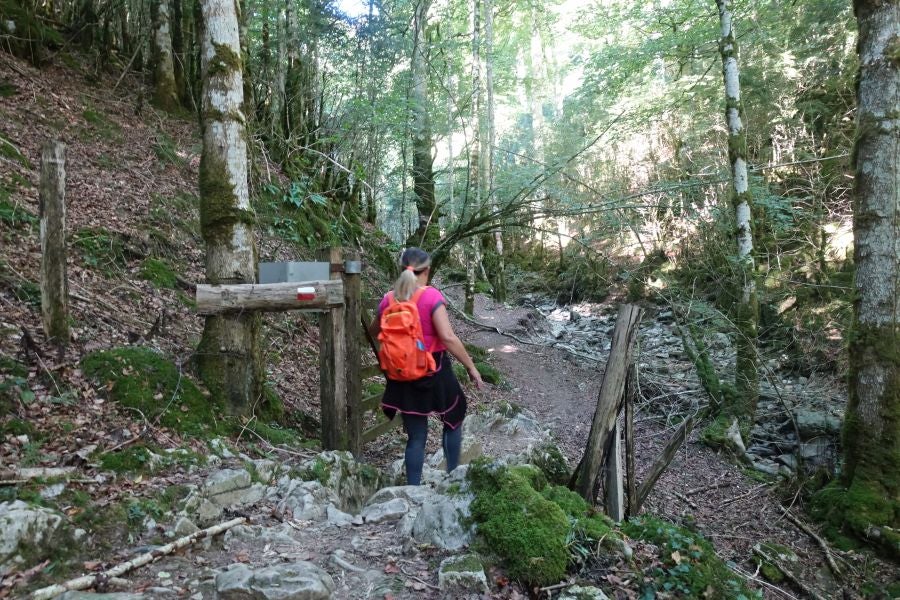 Fotos: Adi: una cima navarra para disfrutar del Otoño
