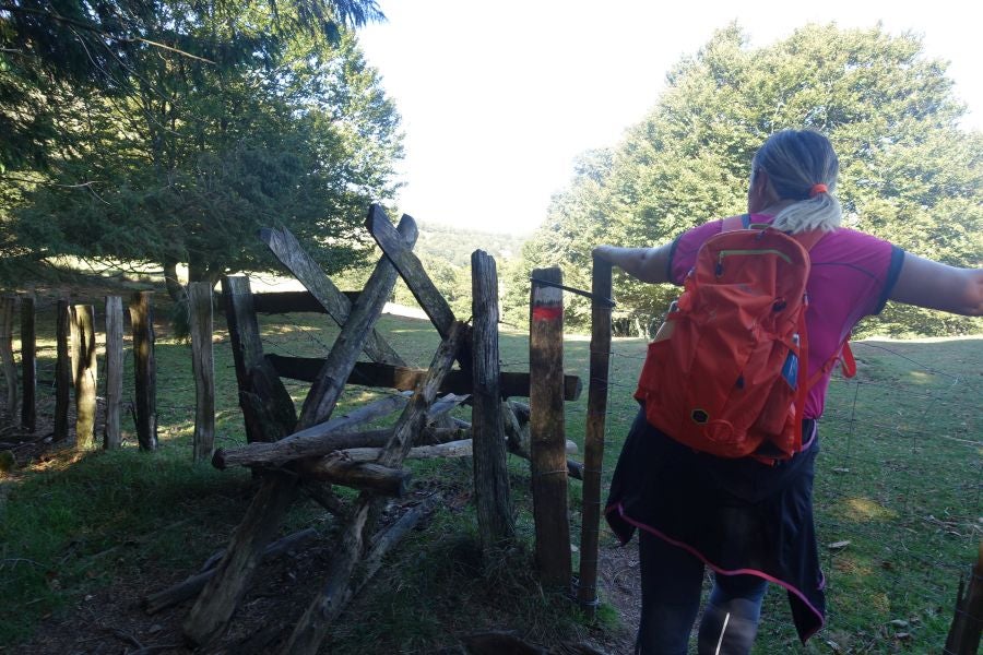 Fotos: Adi: una cima navarra para disfrutar del Otoño