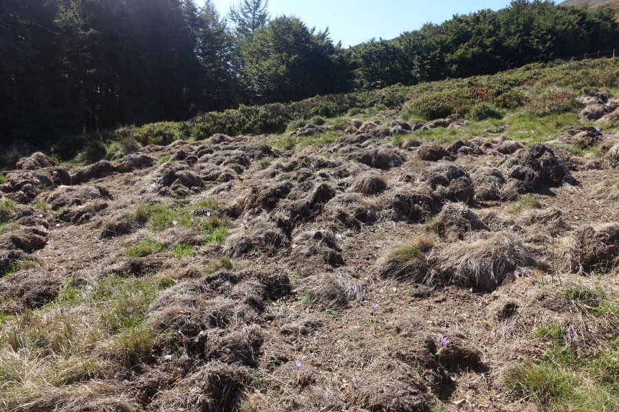 Fotos: Adi: una cima navarra para disfrutar del Otoño