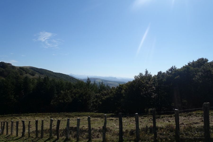 Fotos: Adi: una cima navarra para disfrutar del Otoño