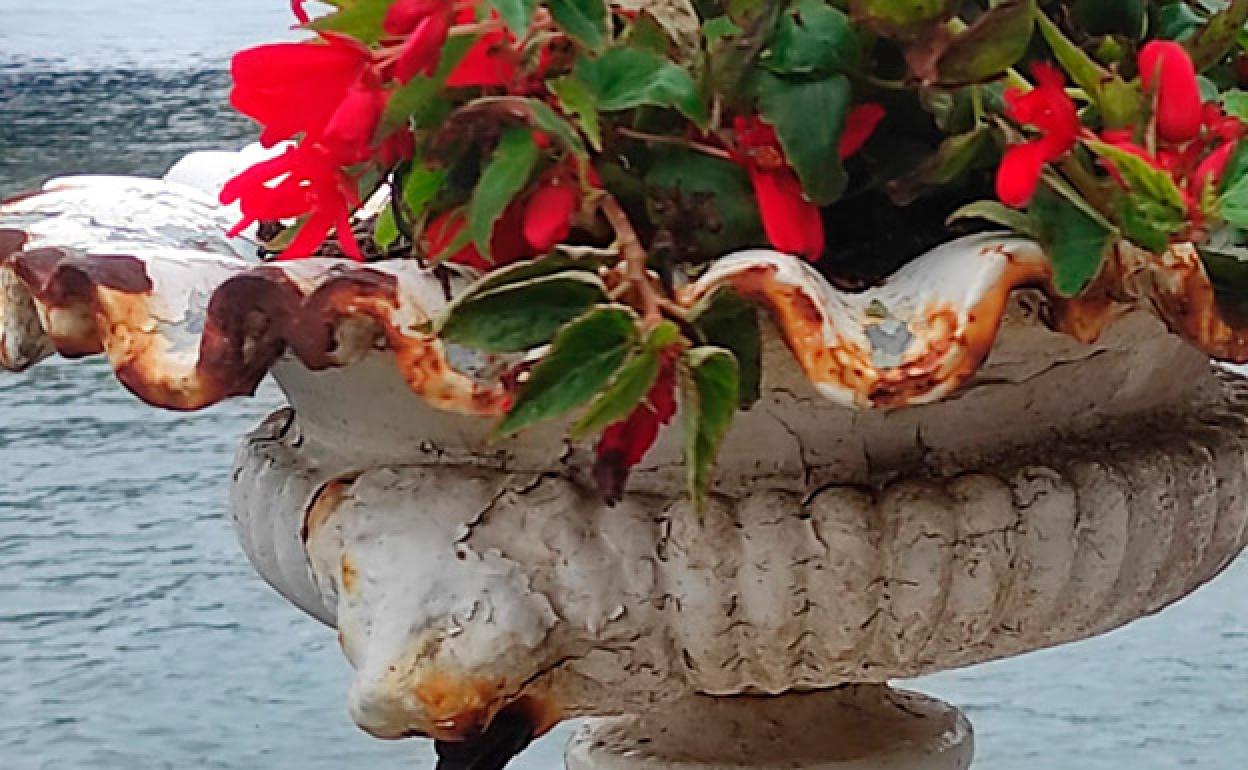 Muchas flores y poca pintura