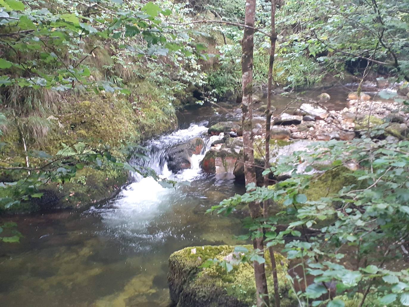 Fotos: Entre bosques encantados y ríos