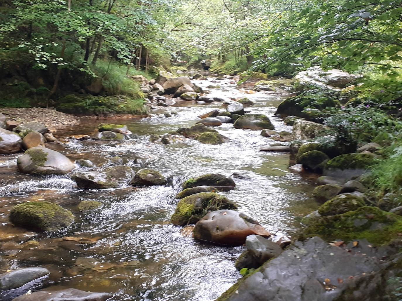 Fotos: Entre bosques encantados y ríos