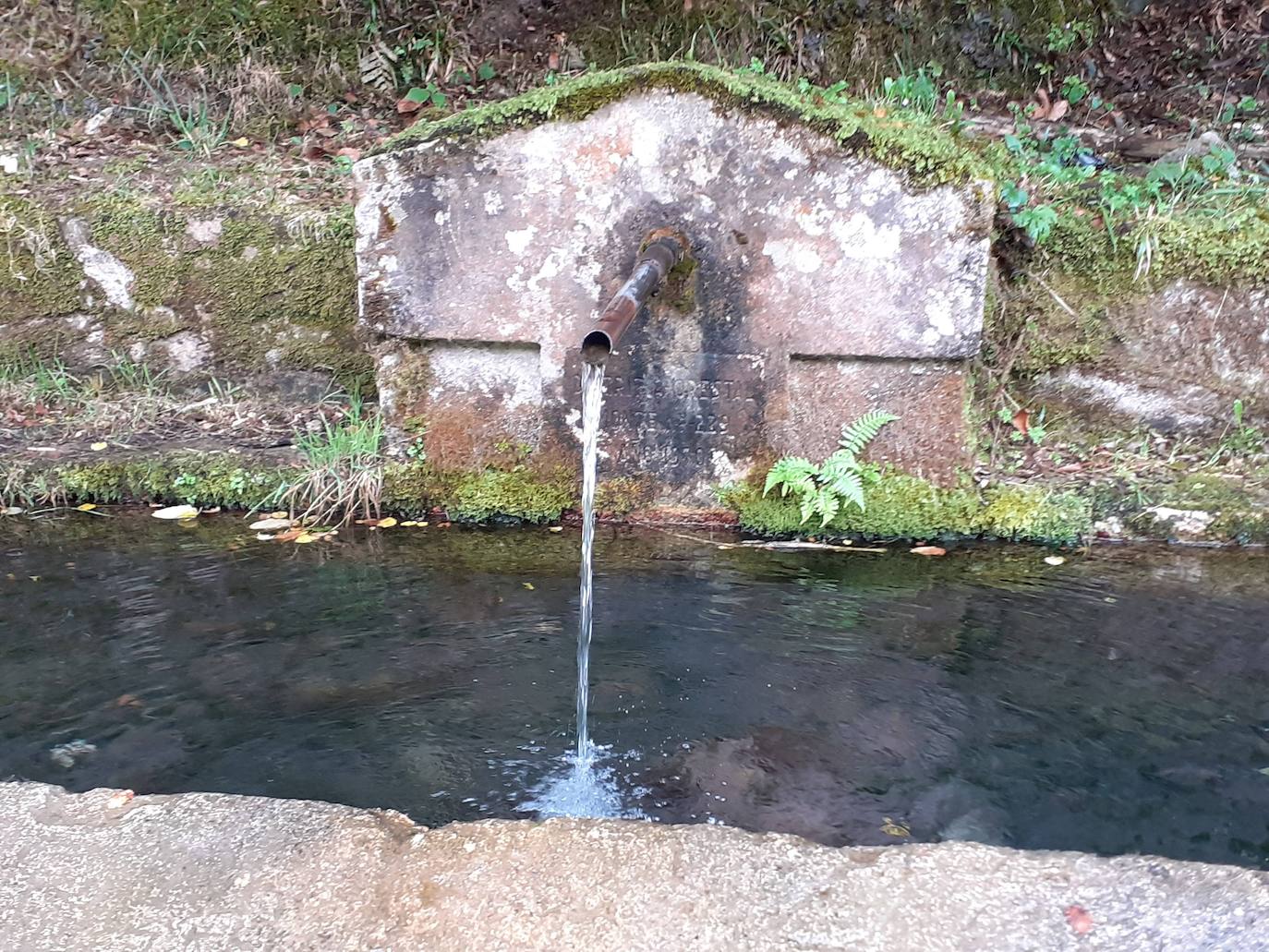 Fotos: Entre bosques encantados y ríos