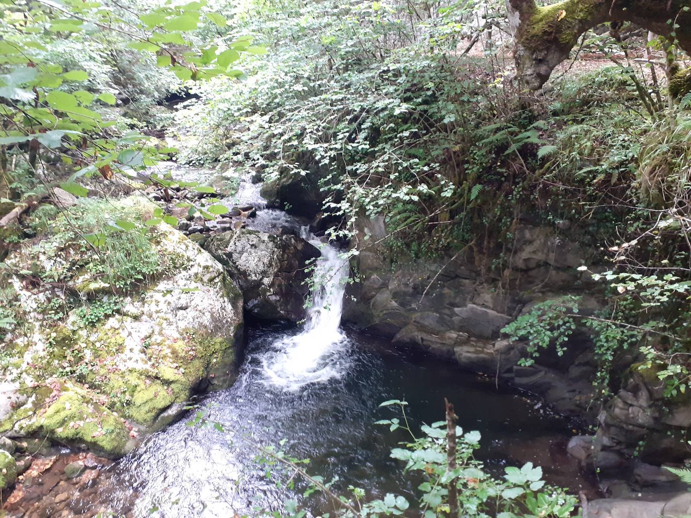 Fotos: Entre bosques encantados y ríos