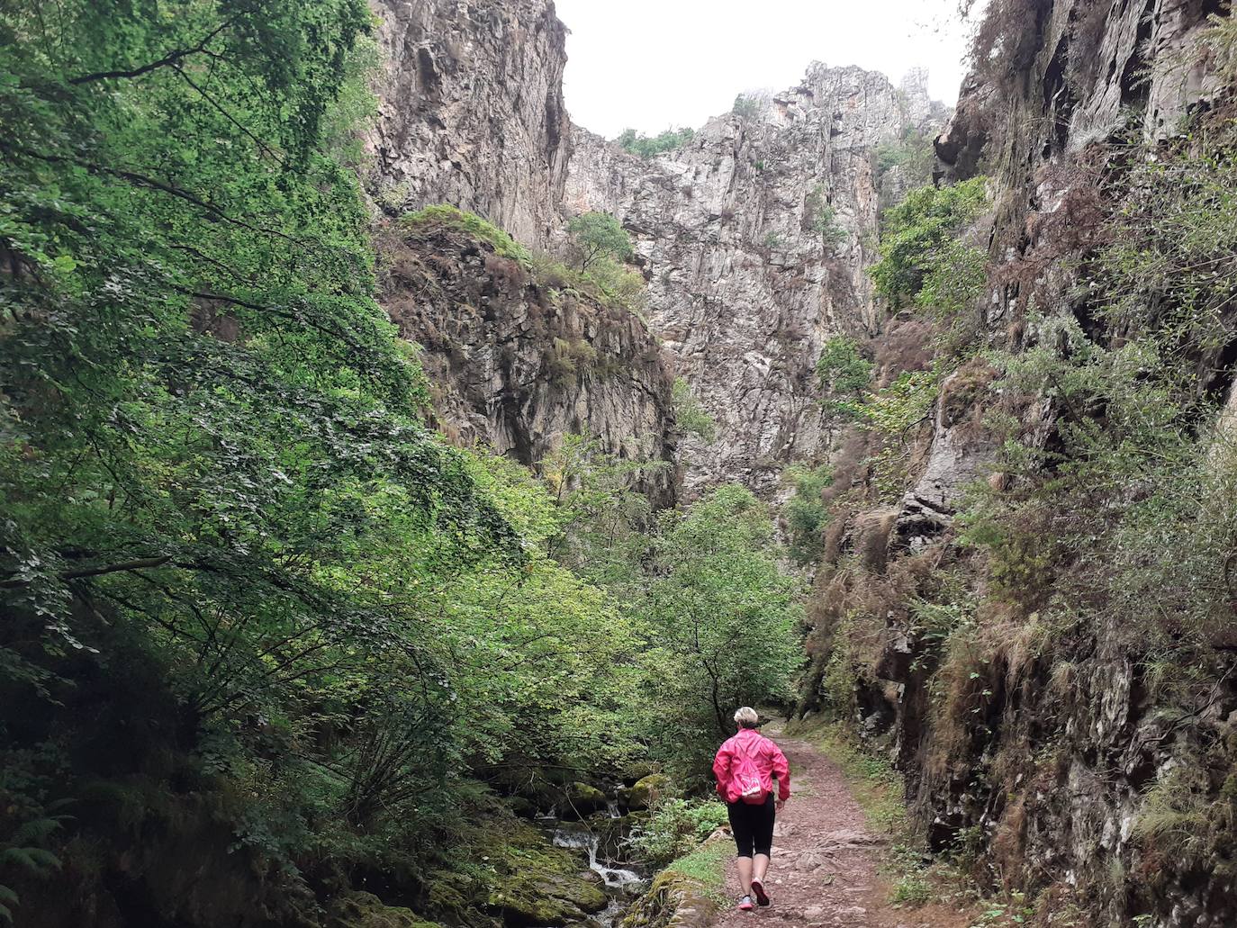 Fotos: Entre bosques encantados y ríos