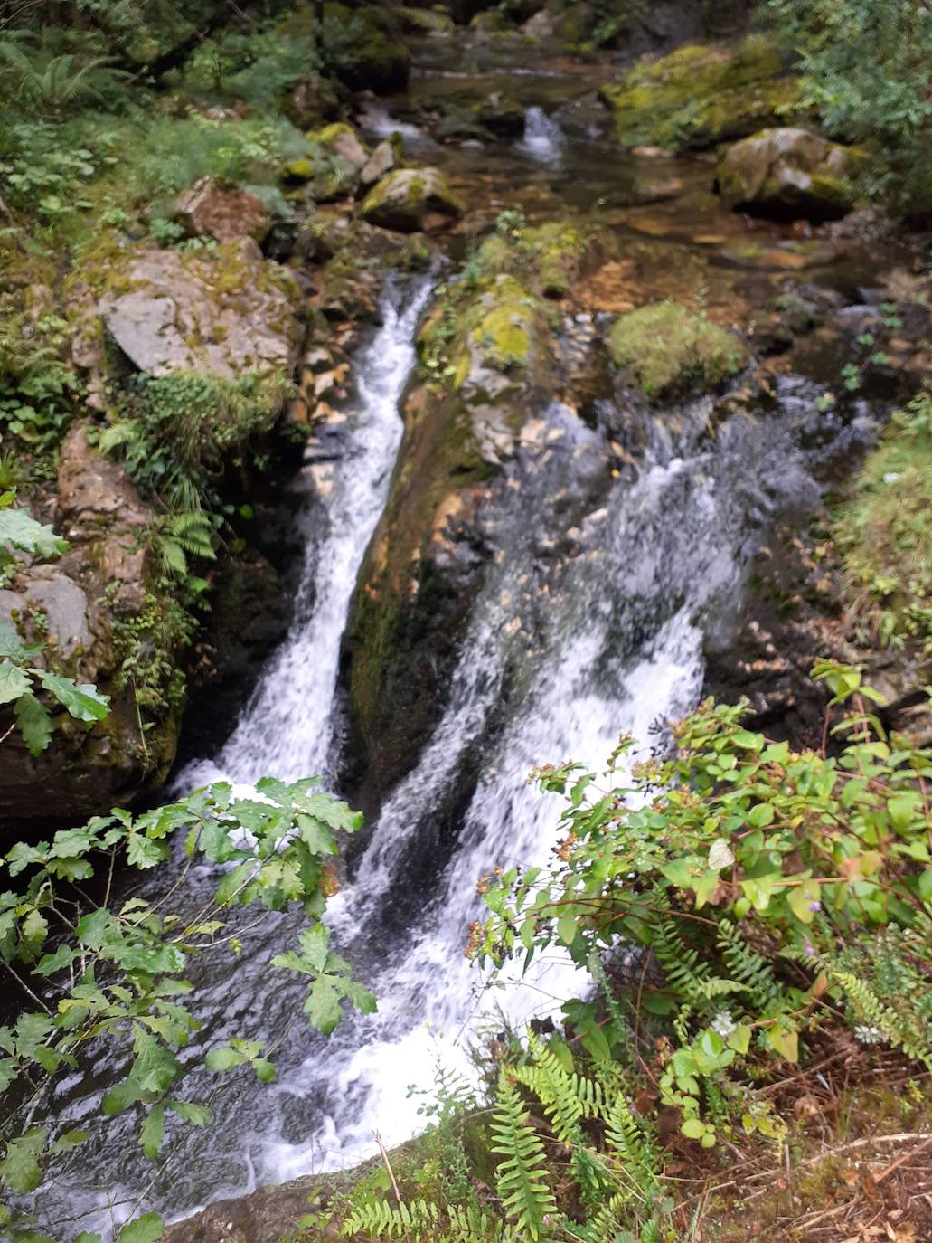 Fotos: Entre bosques encantados y ríos