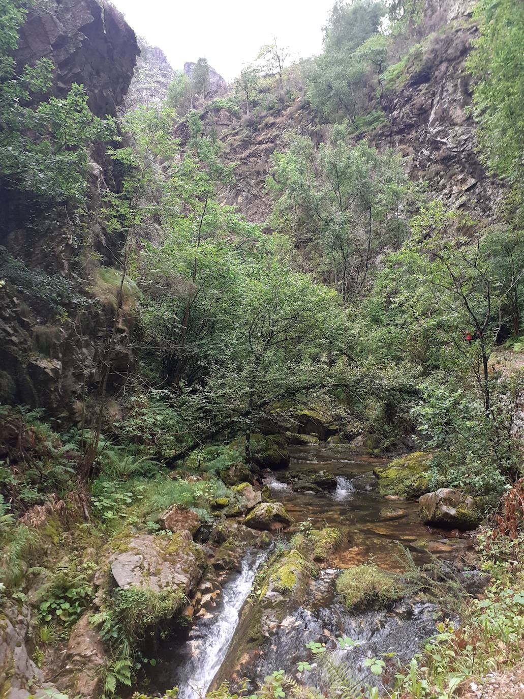 Fotos: Entre bosques encantados y ríos