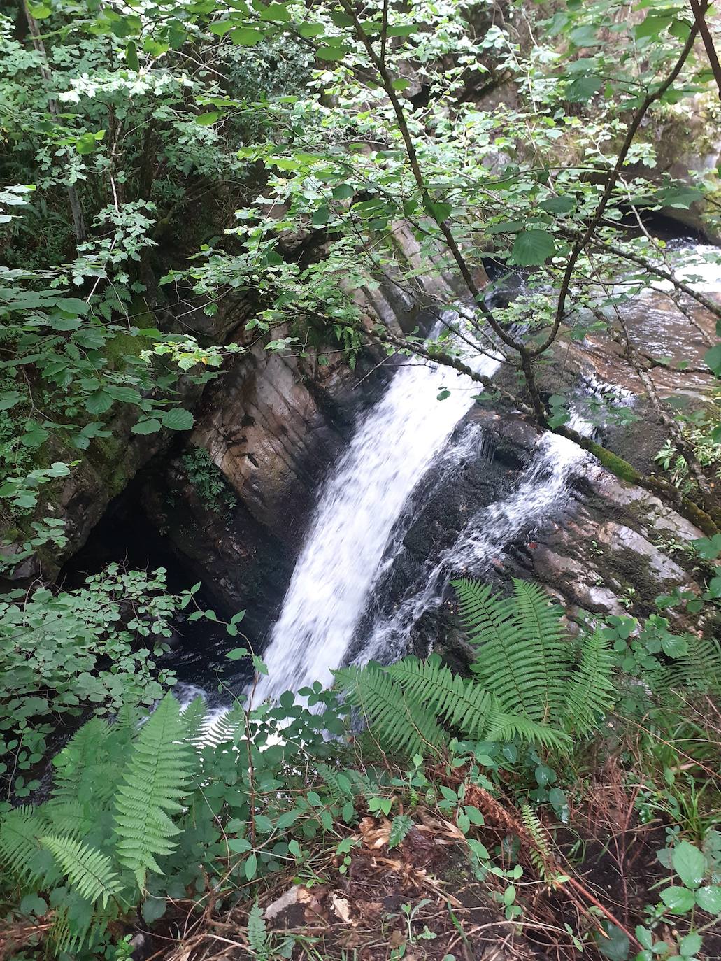 Fotos: Entre bosques encantados y ríos