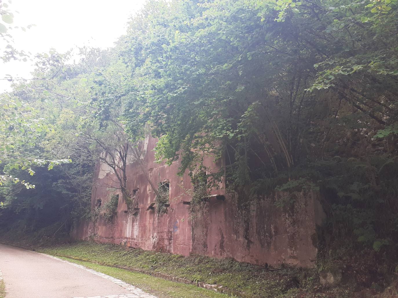 Fotos: Entre bosques encantados y ríos