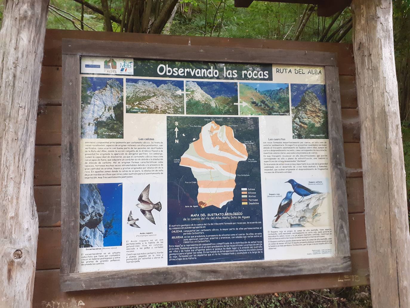 Fotos: Entre bosques encantados y ríos