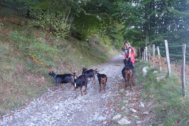 Fotos: Kurtzebarri, trio de damas