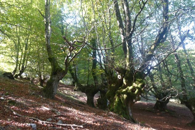 Fotos: Kurtzebarri, trio de damas