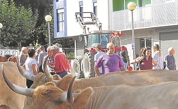 La exposición de ganado en las calles de Idiazabal