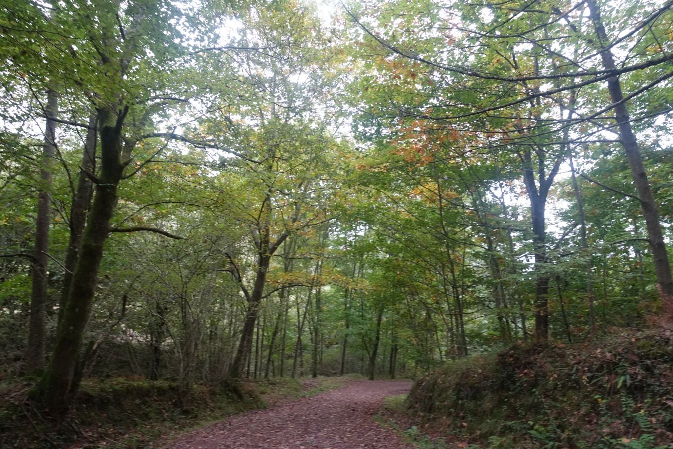 Fotos: Ruta a la cima de Belabieta