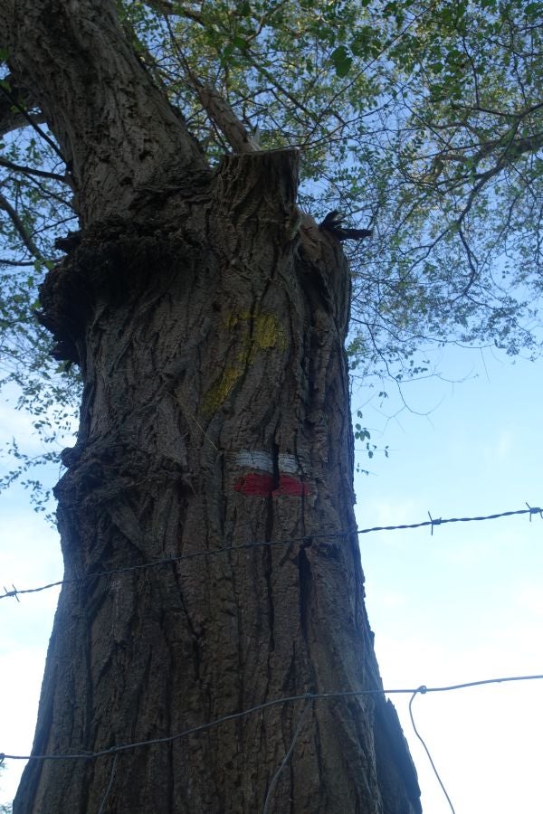 Fotos: Kukuarri: el perfecto mirador al Cantábrico