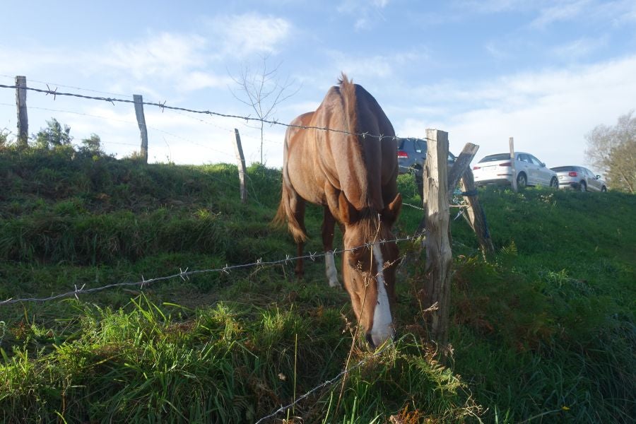 Fotos: Kukuarri: el perfecto mirador al Cantábrico