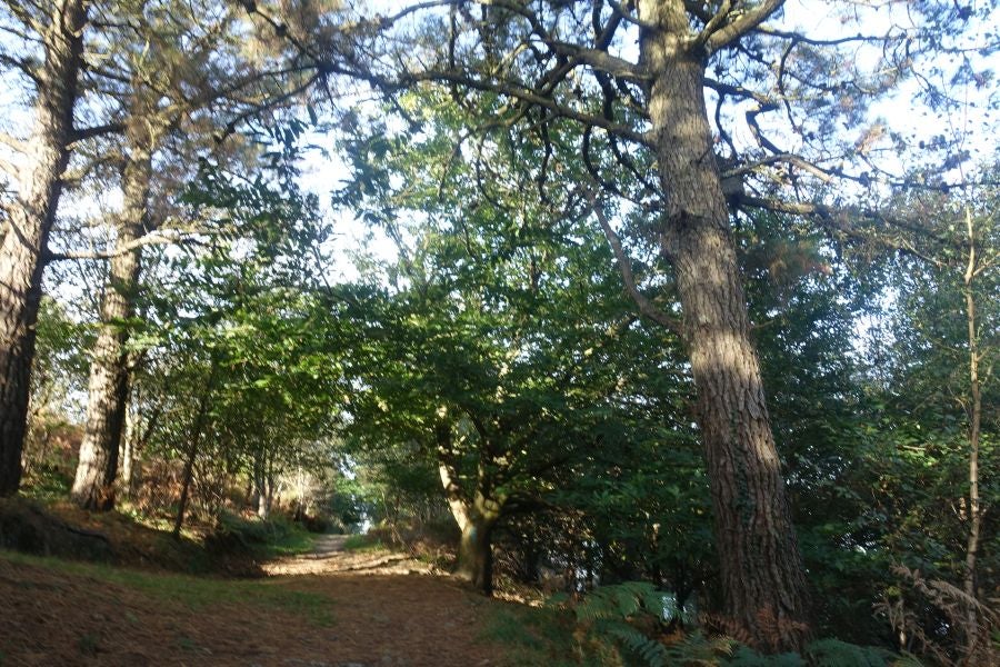 Fotos: Kukuarri: el perfecto mirador al Cantábrico