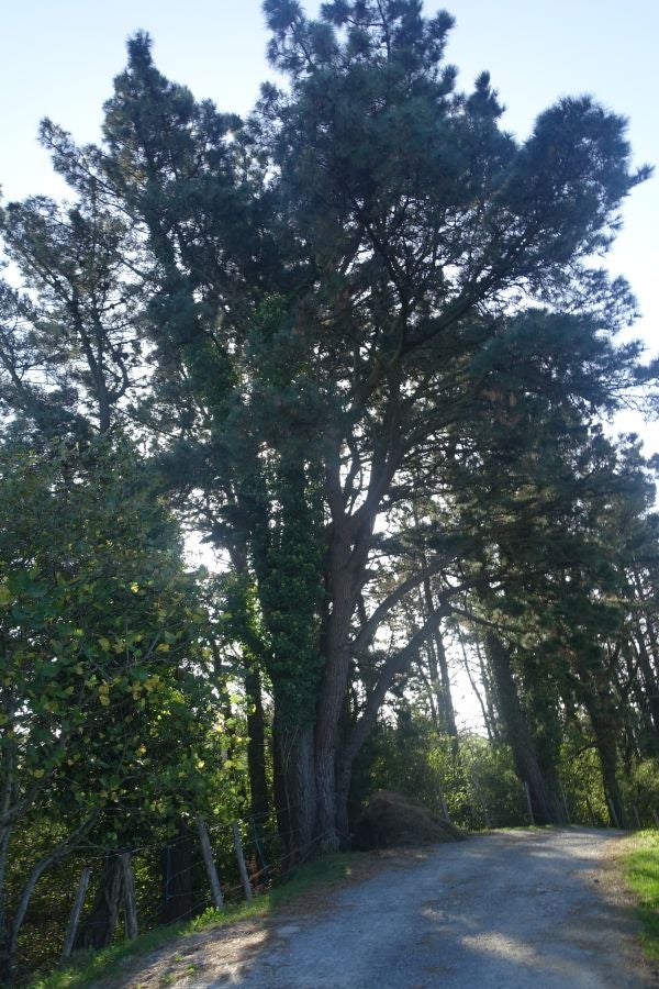 Fotos: Kukuarri: el perfecto mirador al Cantábrico