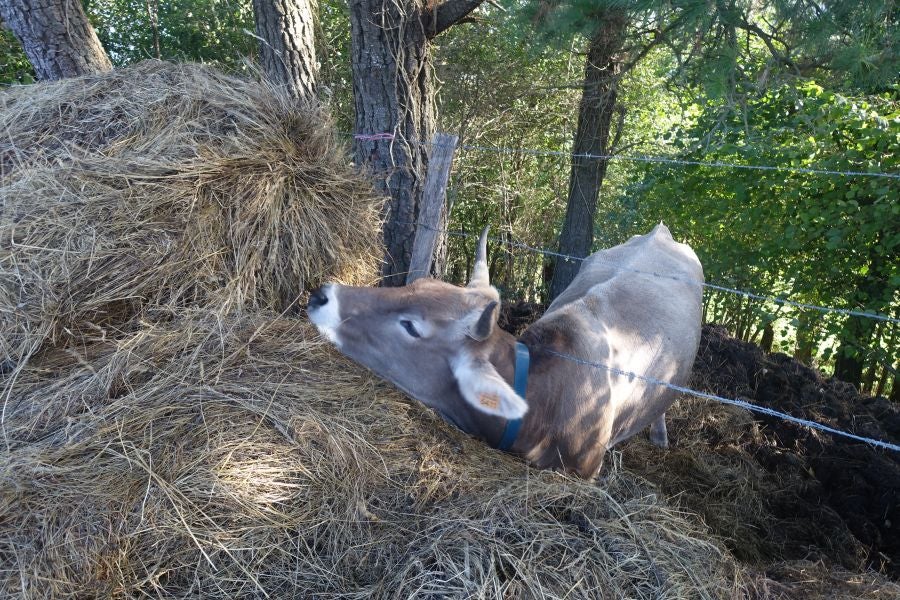 Fotos: Kukuarri: el perfecto mirador al Cantábrico