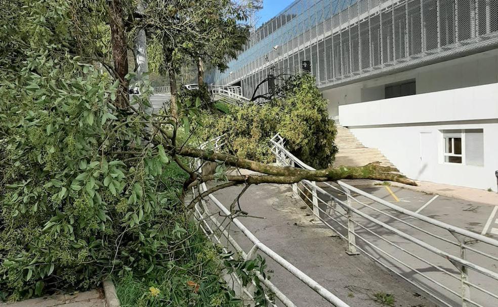 Las fuertes rachas de viento en Zumaia han levantado la arena de la playa, tambíen ha soplado con fuerza en Donostia. 