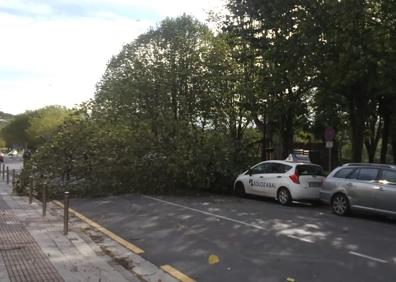 Imagen secundaria 1 - Árboles caídos esta mañana por el fuerte viento en Zarautz y en Ipurua, en Eibar.