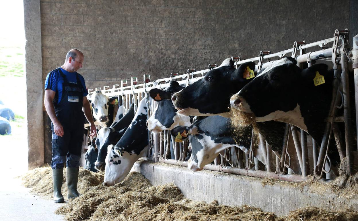 «He dejado de producir 700 litros al día porque estoy perdiendo dinero»