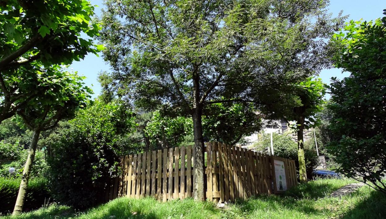 En Lezo hay cinco puntos para el compost comunitario. 