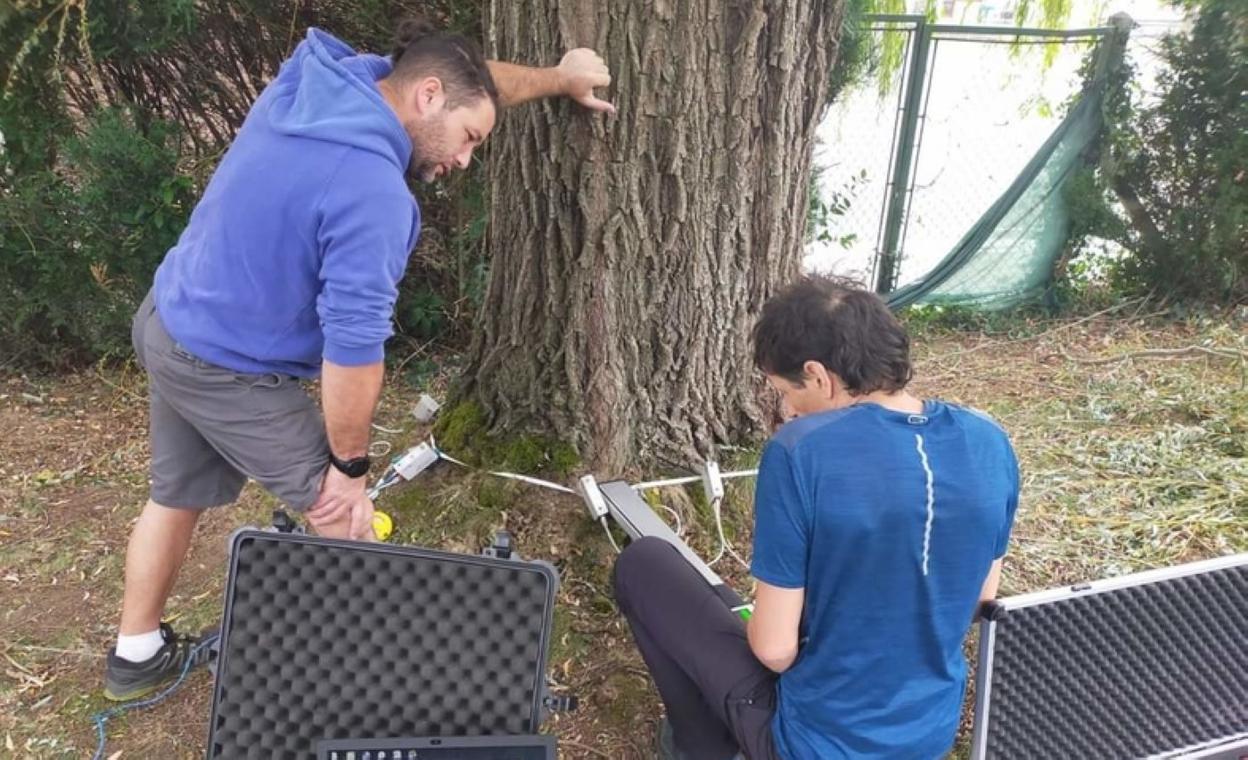 Doctor Arbol enpresako langileak, azterketa lanetan. 