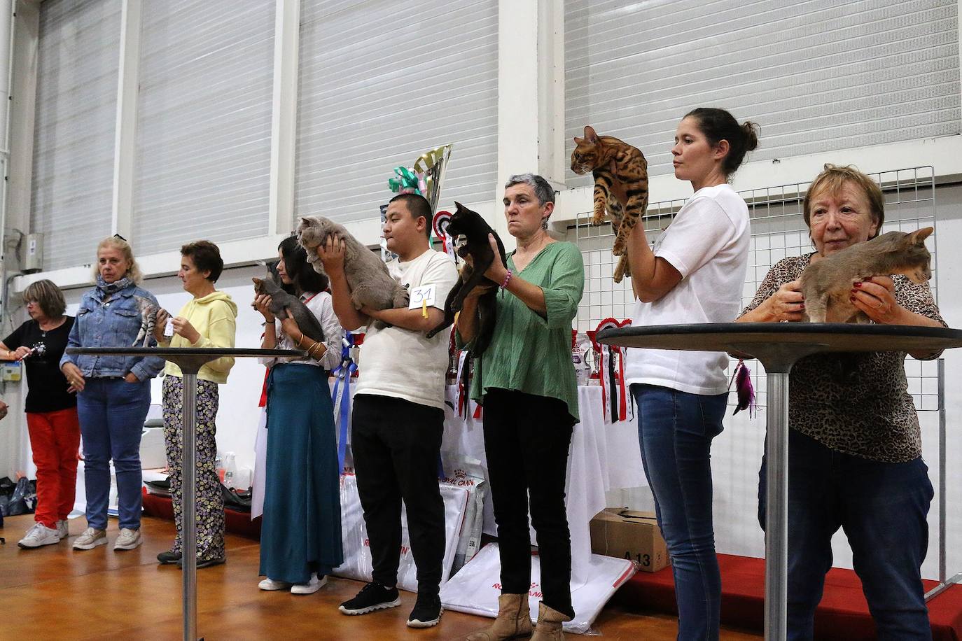 Fotos: XV Exposición Internacional Felina en Ficoba