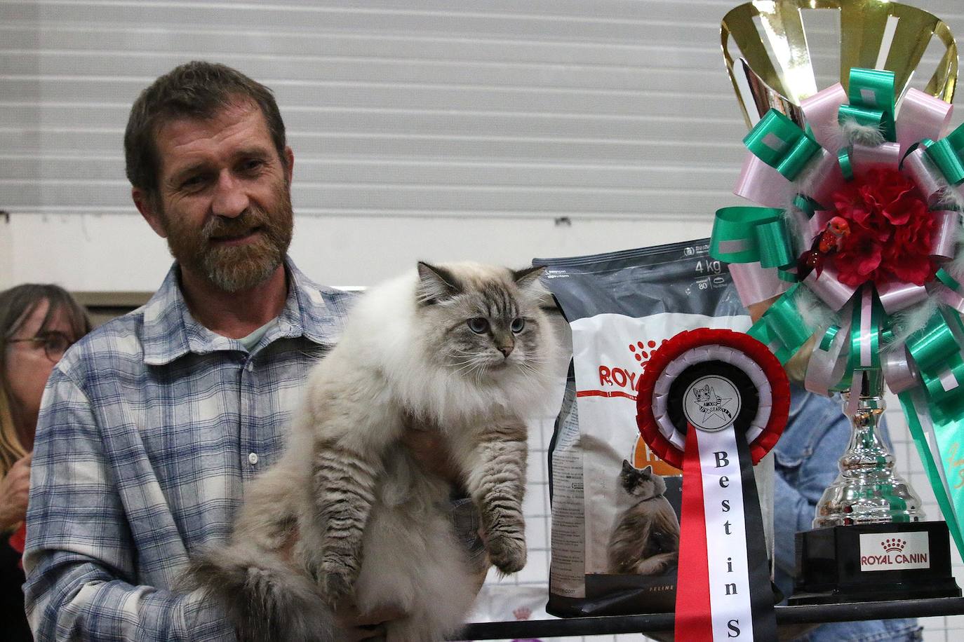 Fotos: XV Exposición Internacional Felina en Ficoba