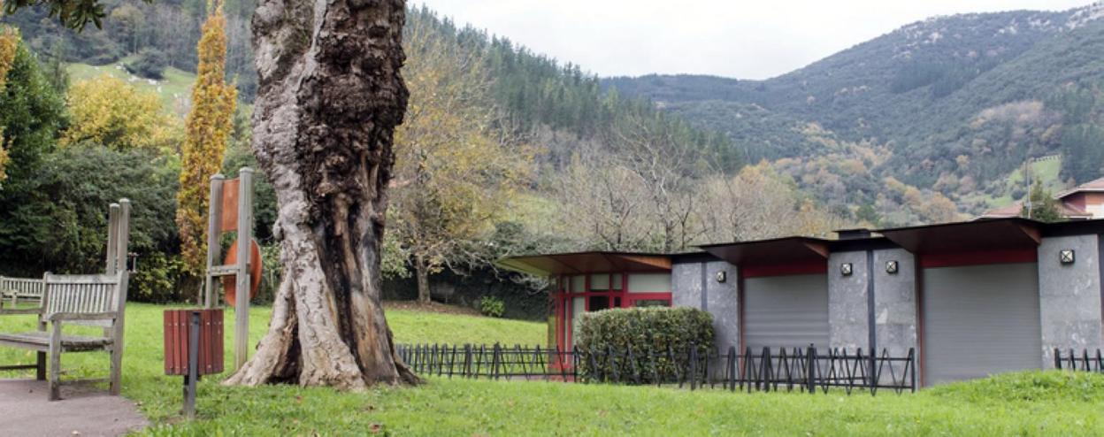Viviendas construidas junto al centro de Día. 