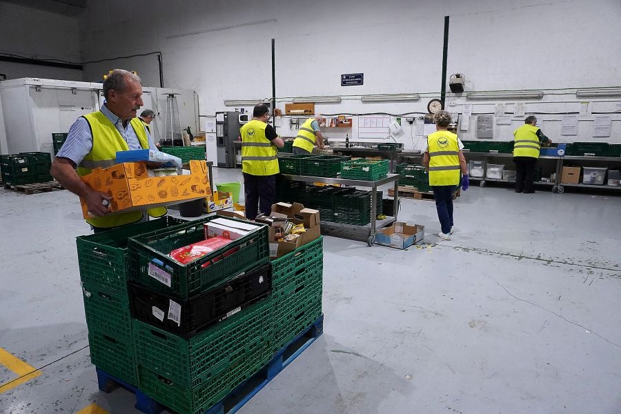 Fotos: El valor del esfuerzo de la Behobia-SS