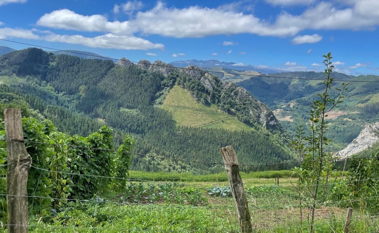 Se ha comenzado el deslinde de 550 parcelas que ocupan una superficie de 883 Ha situadas en suelo rústico.