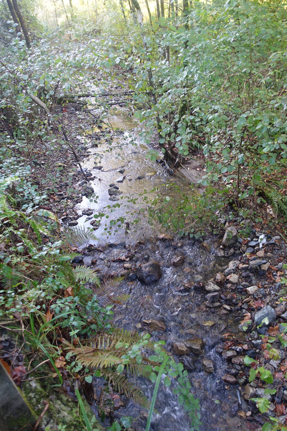 Fotos: Arburu, belleza natural gota a gota
