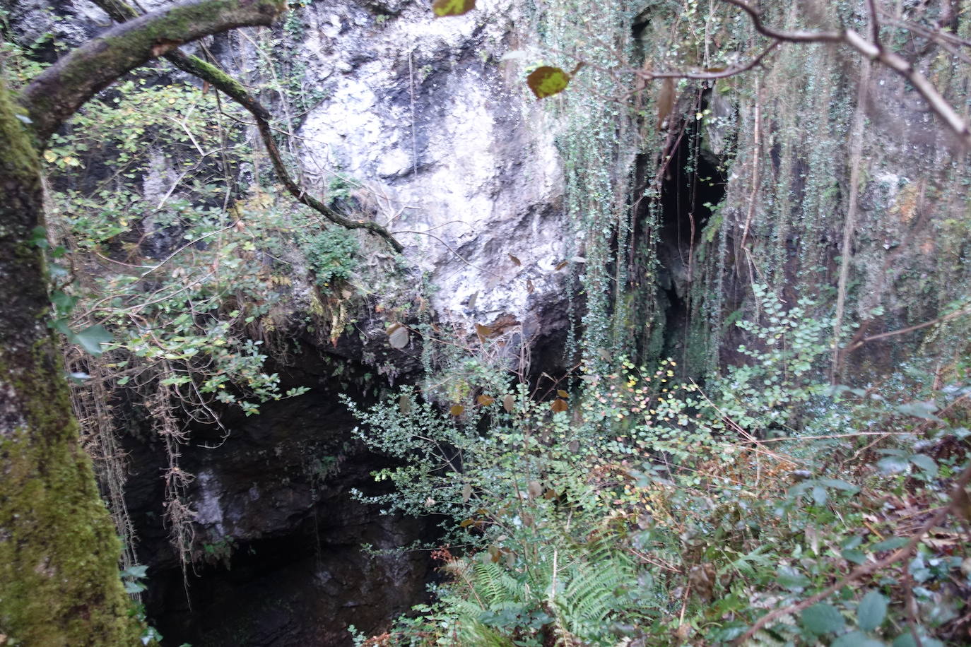 Fotos: Arburu, belleza natural gota a gota